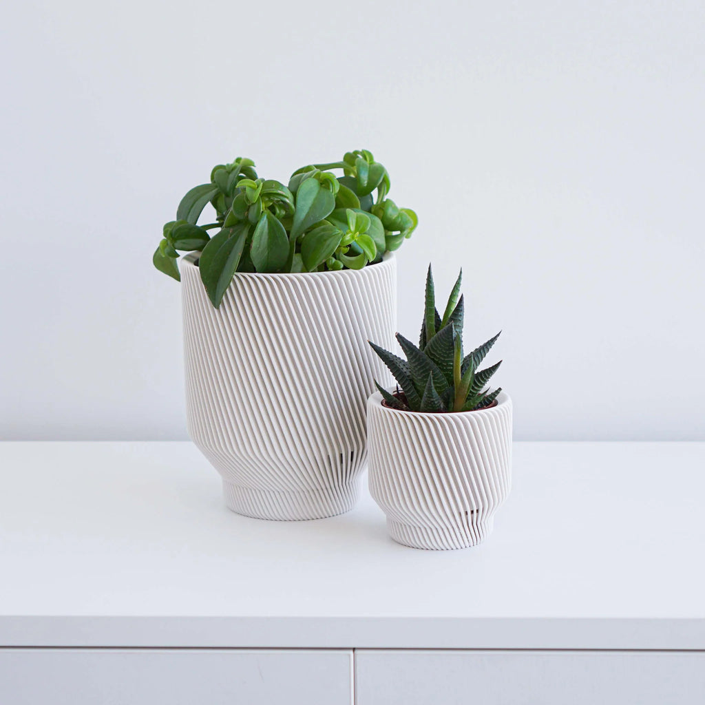 Spruce Planter by Conifer Homewares